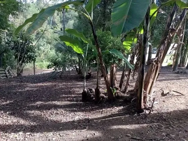 Imagem 6: Chacara no Imbuial, Próx Ao Restaurante É da Pam, Estrada da Ribeira