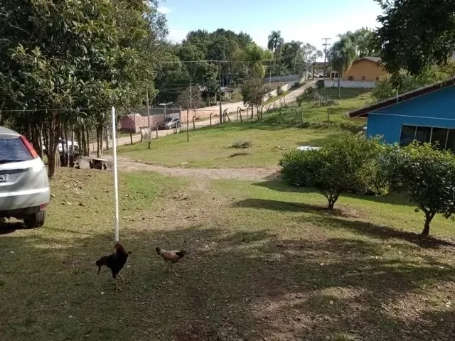 Imagem 11: Chacara no Imbuial, Próx Ao Restaurante É da Pam, Estrada da Ribeira