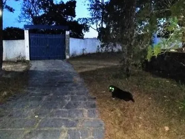 Imagem 2: Granja Sítio Completa