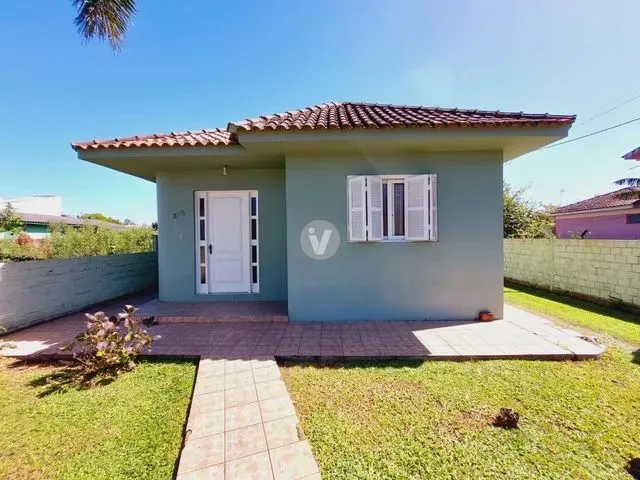 Imagem: Santa Maria - Casa Padrão - Pé de Plátano