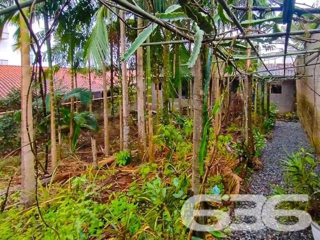 Imagem 15: Casa | Joinville