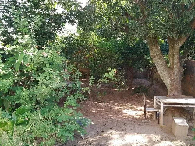 Imagem: Térrea para Venda Possui 74 M² com 2 Quartos