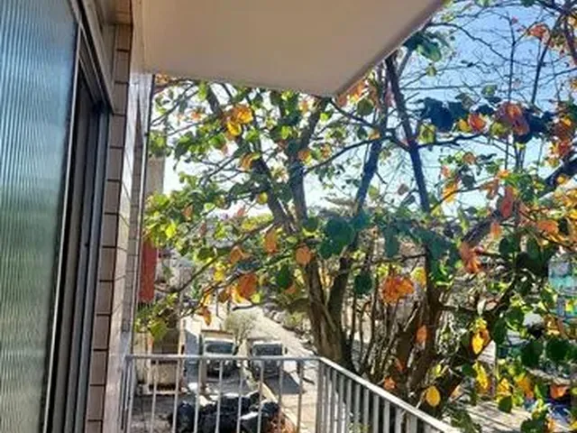 Imagem: Oportunidade! Excelente Apartamento Claro