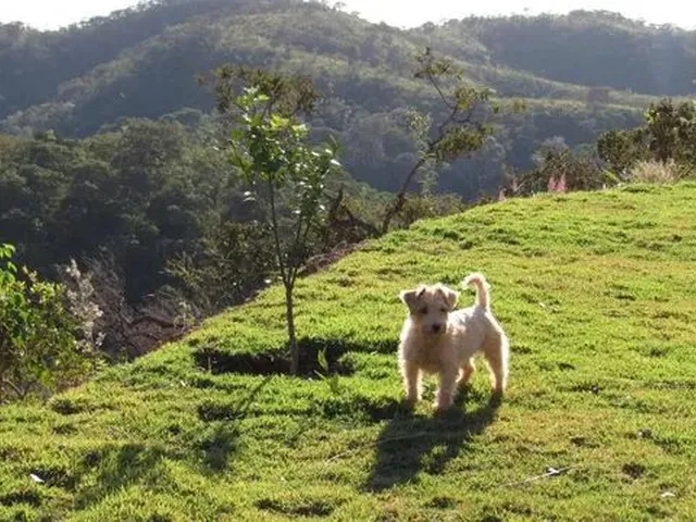 Imagem 5: Alugo Chácara com Casa Nova no Altiplano Leste, 3 Quartos, 2 Suítes, Vista Espetacular