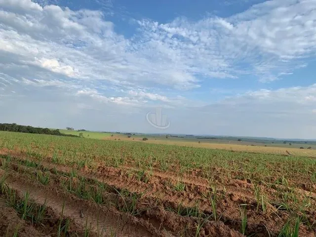 Imagem: Ribeirão Bonito - Rural - Sp-255