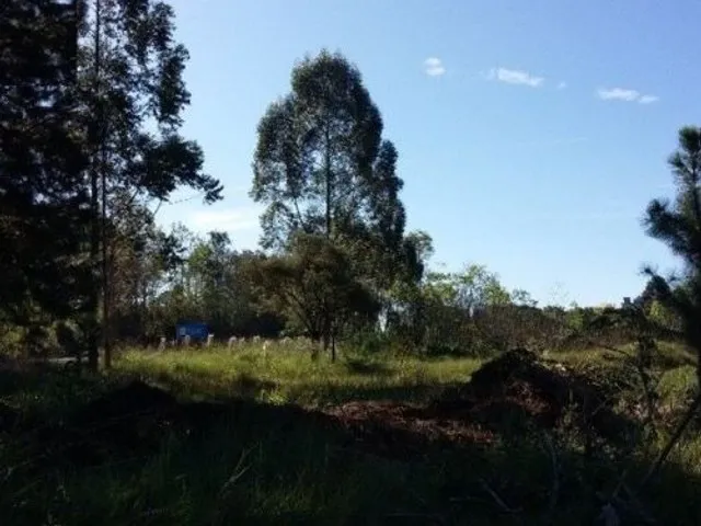 Imagem: Área de Terra Frente Asfalto Água Amarela