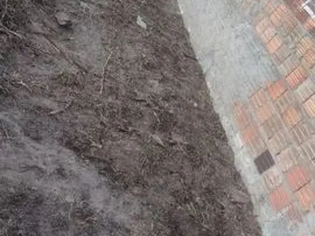 Imagem: Terreno 7 X20 Lagoa Salgada