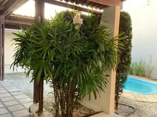 Imagem: Casa Emaus