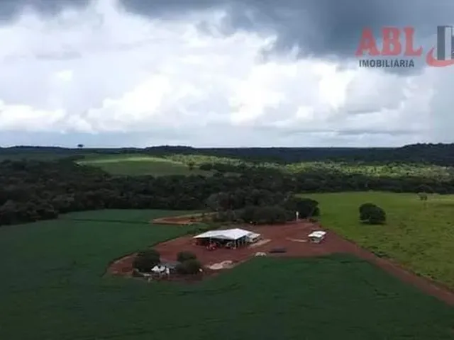 Imagem: Fazenda para Venda em Centro Primavera do
