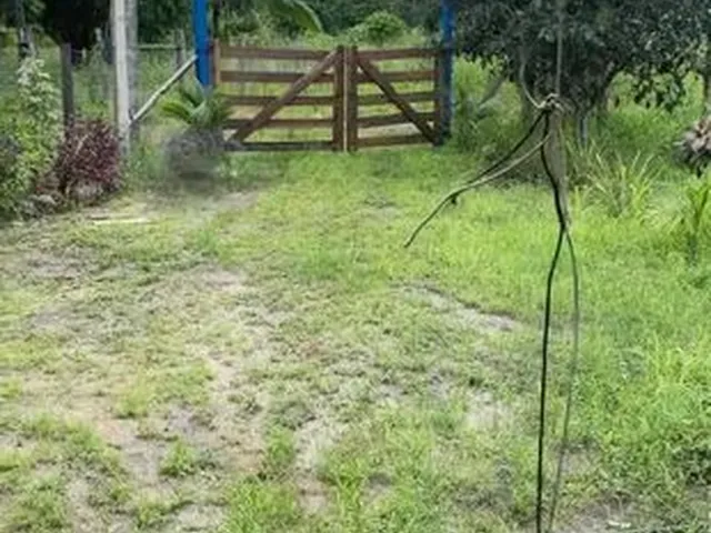 Imagem: Vende - Se Chácara 70/100 Mts
