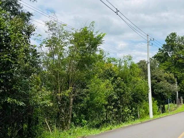 Imagem: Chácara em Sapiranga com 3 Hectares