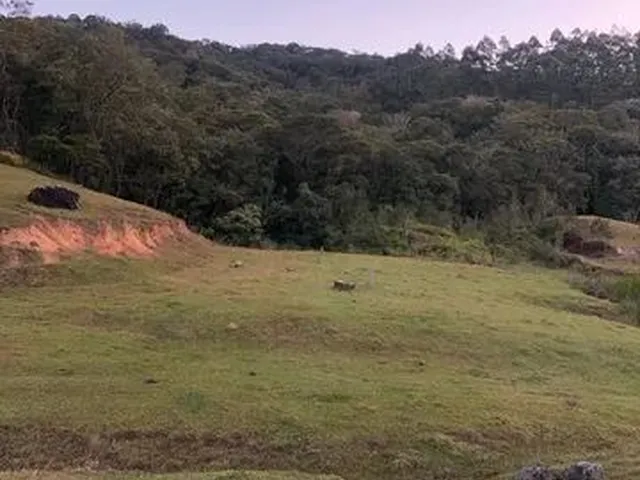 Imagem: Terreno para Sítio