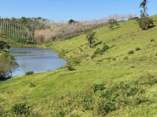 Imagem: Lindo Sítio em Goembê, 72.000M2, Asfalto