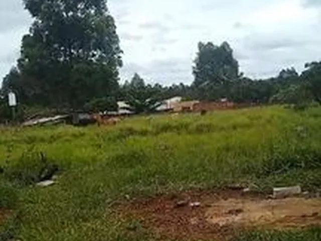 Imagem: Chacara a Venda