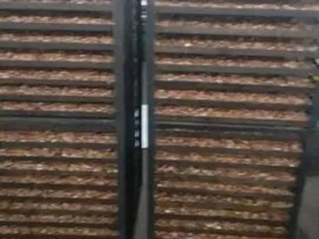 Imagem: Fábrica de Castanhas