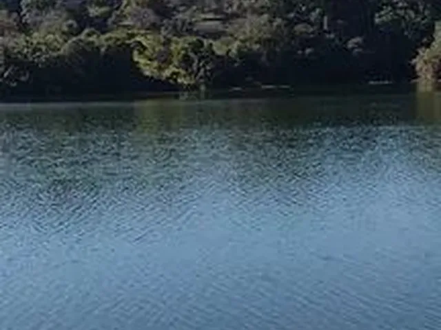 Imagem 2: Vende-Se Terrenos a Beira da Represa em Carlópolis Pr