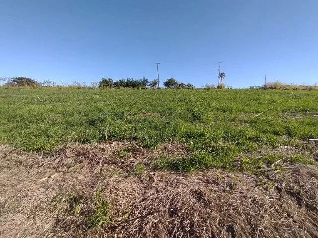 Imagem 6: Vende-Se Terrenos a Beira da Represa em Carlópolis Pr