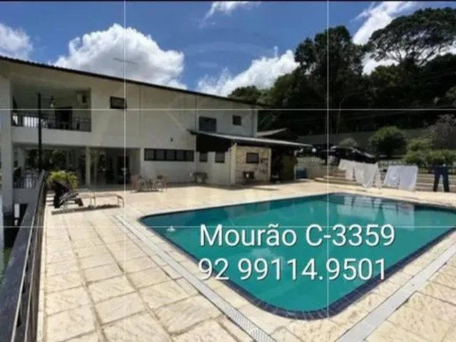 Imagem 9: Belissima Chácara, Orla do Tarumã, Ponta Negra. Terreno 10.059M2, Duplex 600M2. Viveiro