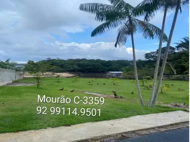 Imagem 14: Belissima Chácara, Orla do Tarumã, Ponta Negra. Terreno 10.059M2, Duplex 600M2. Viveiro