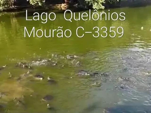 Imagem 4: Belissima Chácara, Orla do Tarumã, Ponta Negra. Terreno 10.059M2, Duplex 600M2. Viveiro