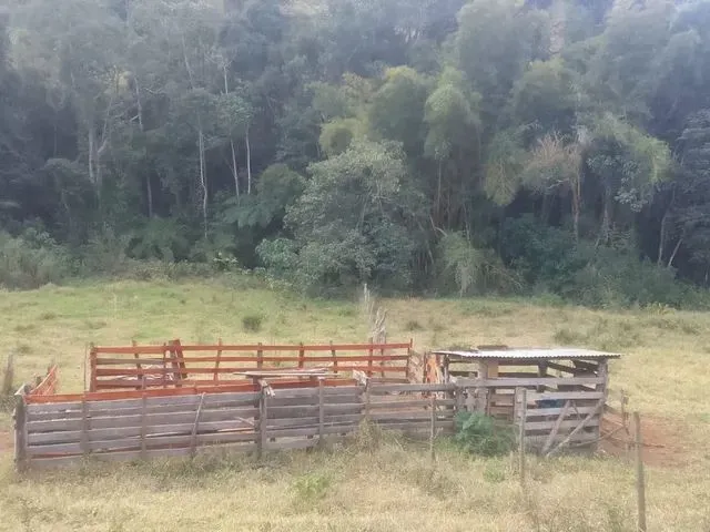 Imagem 4: Sítio com Uma Linda Cachoeira