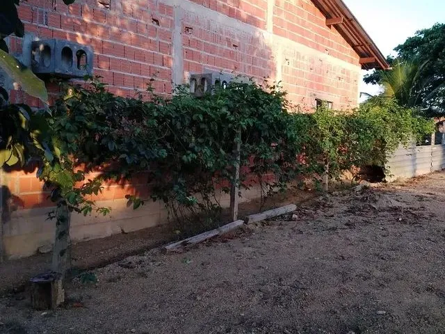 Imagem: Casa