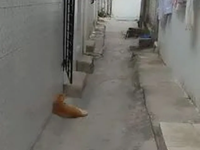 Imagem: Casa pra Vender na Iputinga Toda na Cerâmica