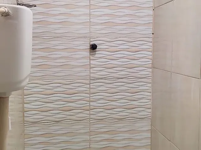 Imagem 6: Aluguel de Casa em Nova Descoberta