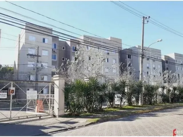 Imagem: Alugo Ap no Mato Grande