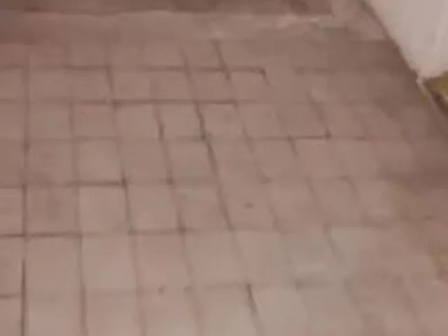 Imagem 4: Casa pra Alugar Próximo Ao Colégio Margarez