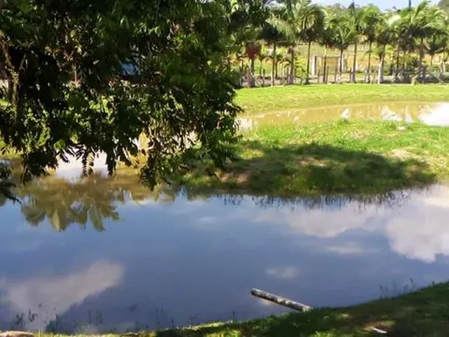 Imagem 2: Chácara Chácara com venda por R$450.000