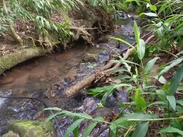 Imagem: Sítio em Camanducaia Mg