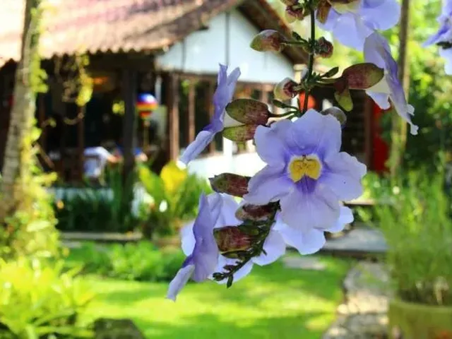 Imagem: Vendo Posada e Pizzaria (Anexo) Paraty