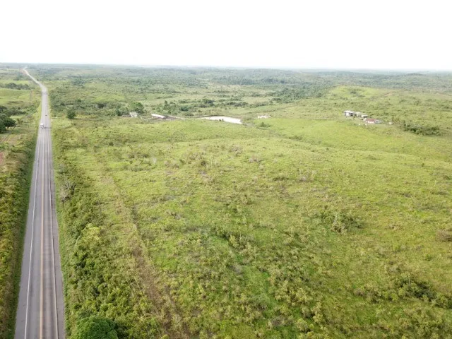 Imagem: 1539 Alqueires no Asfalto Fada pra Gado