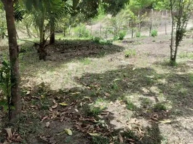 Imagem: Venda Ou Troca