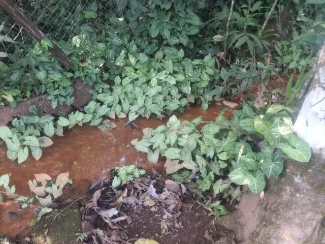 Imagem 15: Sitio em Contagem , 8Km do Centro de Contagem - san Remo
