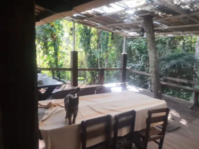Imagem 7: Sitio em Contagem , 8Km do Centro de Contagem - san Remo