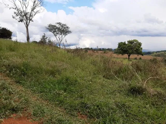 Imagem: Vendo Terras Próximo a Palmeiral Contendo