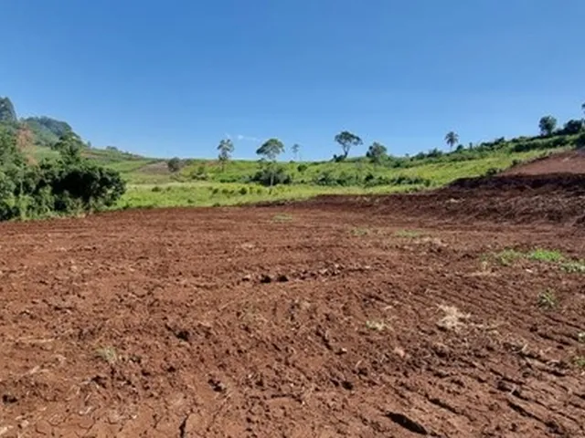 Imagem: Área de Terra na Sede Figueira