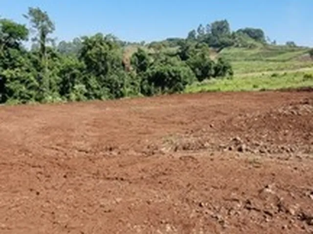 Imagem 10: Área de Terra na Sede Figueira