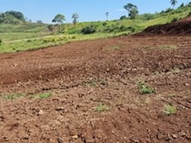 Imagem 2: Área de Terra na Sede Figueira