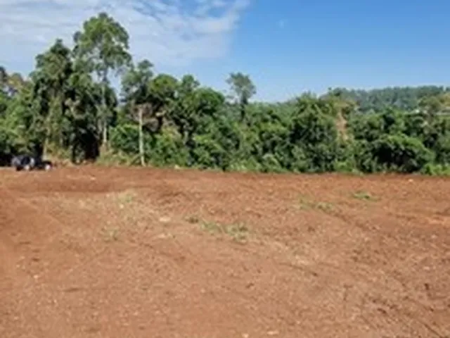 Imagem 9: Área de Terra na Sede Figueira