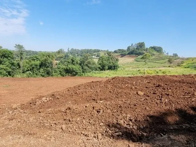 Imagem 7: Área de Terra na Sede Figueira