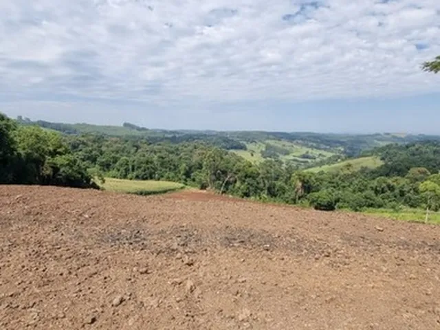 Imagem 12: Área de Terra na Sede Figueira