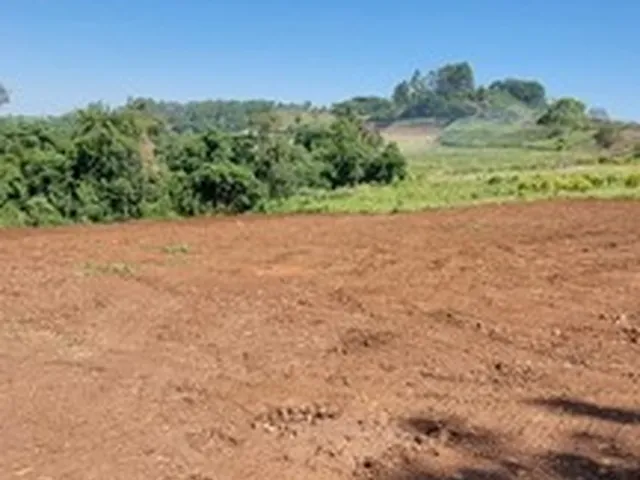 Imagem 4: Área de Terra na Sede Figueira