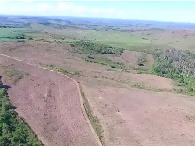 Imagem: Fazenda em Japoatã, 789 Tarefas, Ideal