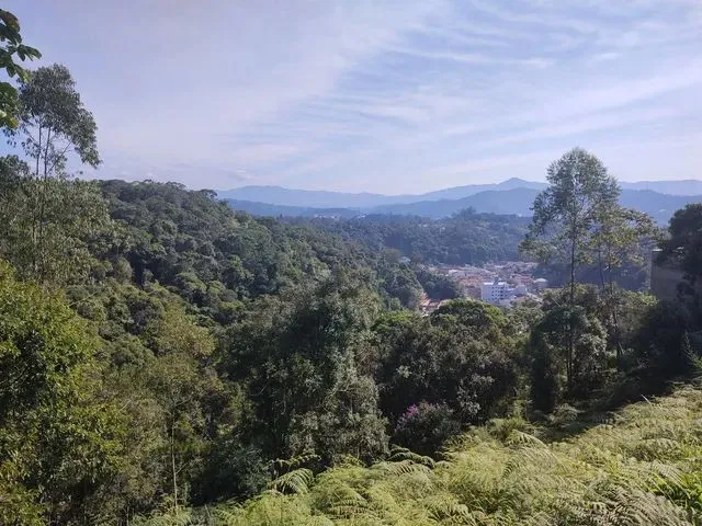 Imagem 3: Terreno Próximo Ao Senai