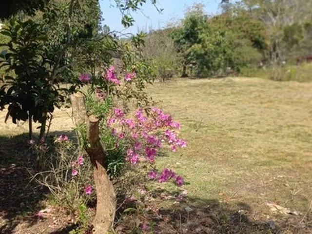 Imagem 5: Chácara em Marechal Floriano