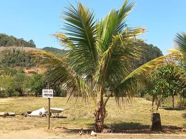 Imagem 2: Chácara em Marechal Floriano
