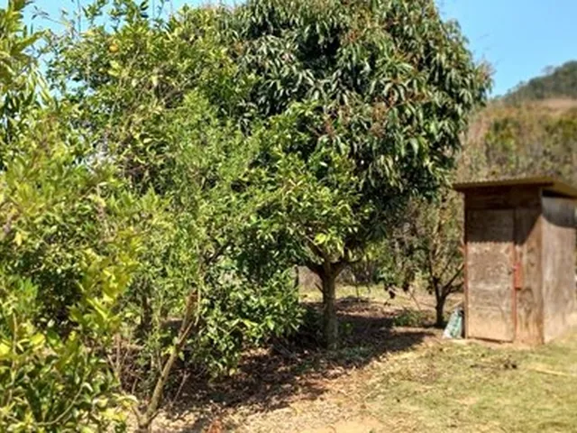 Imagem 3: Chácara em Marechal Floriano